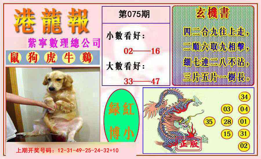 075期港龙报[图]